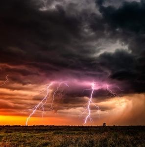 Meet your Posher, Rhonda